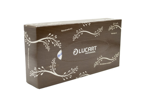 Lucart EcoNatural 100 V kozmetikai törlőkendő