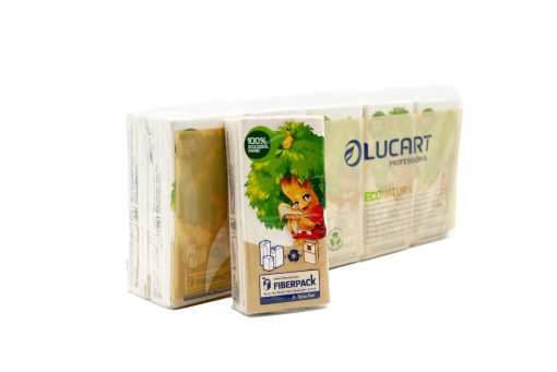 Lucart EcoNatural 90F 10 csomag 9 db-s 4 rétegű papír zsebkendő